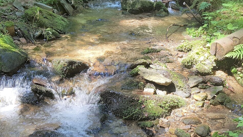 Hiking route Rauschbachweg, Pöllauberg - Touren-Impression #2.4 | © Oststeiermark Tourismus