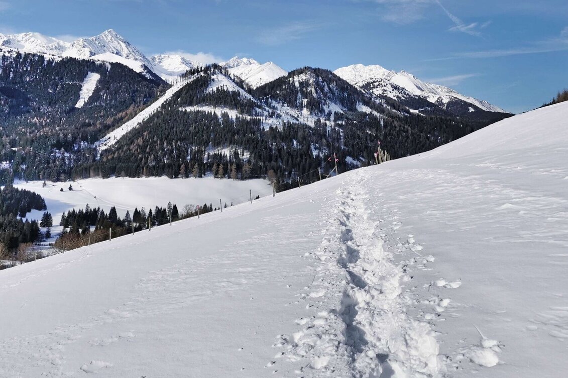 Snowshoe walking Hohentauern circular hike - marked snowshoe trail - Touren-Impression #1 | © Weges OG