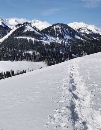 Wir wandern über die Wiese und genießen das Panorama | Weges OG | © Weges OG