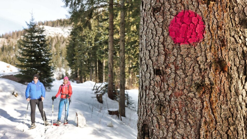 Snowshoe walking Hohentauern circular hike - marked snowshoe trail - Touren-Impression #2.7 | © Weges OG