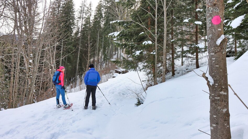 Snowshoe walking Hohentauern circular hike - marked snowshoe trail - Touren-Impression #2.9 | © Weges OG