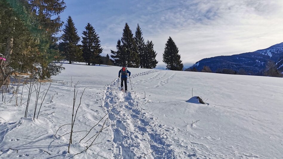 Snowshoe walking Hohentauern circular hike - marked snowshoe trail - Touren-Impression #2.2 | © Weges OG