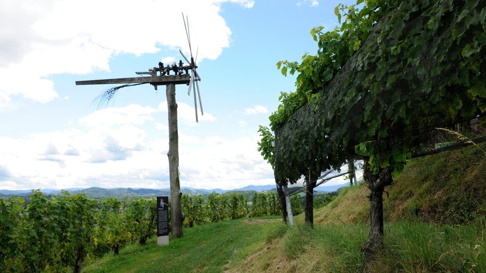 Wanderung Steirischer Obst- und Weinlehrpfad Silberberg - Touren-Impression #2.1 | © Südsteiermark