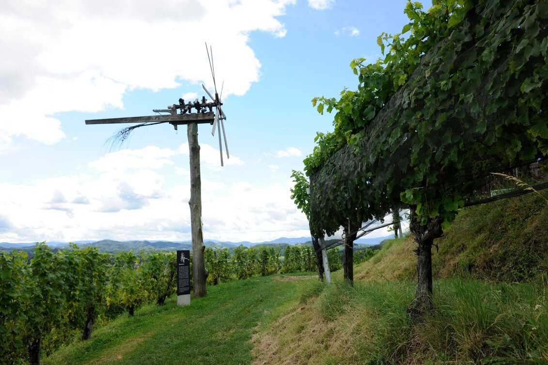 Wanderung Steirischer Obst- und Weinlehrpfad Silberberg - Touren-Impression #1 | © Südsteiermark