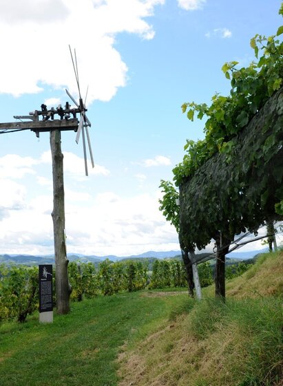 Weinlehrpfad Silberberg | © Südsteiermark | FS Silberberg | © Südsteiermark