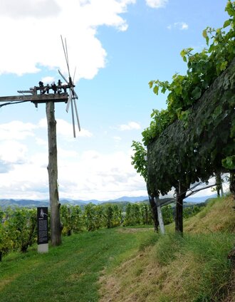 Weinlehrpfad Silberberg | FS Silberberg | © Südsteiermark