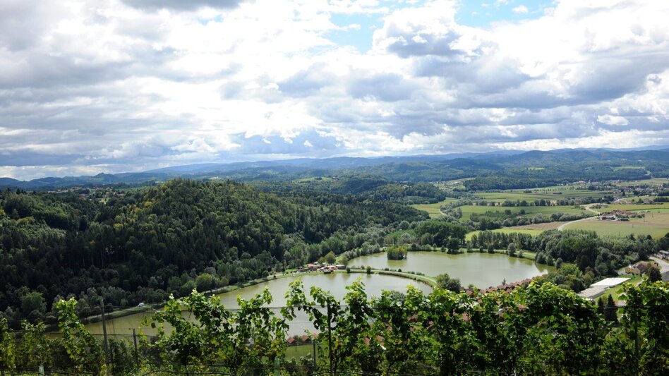 Wanderung Steirischer Obst- und Weinlehrpfad Silberberg - Touren-Impression #2.2 | © Südsteiermark