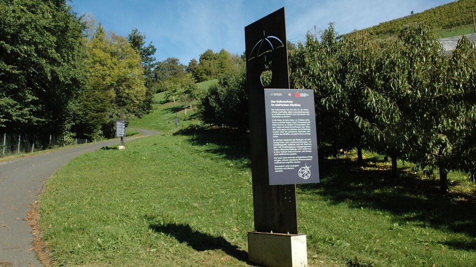 Wanderung Steirischer Obst- und Weinlehrpfad Silberberg - Touren-Impression #2.3 | © Südsteiermark