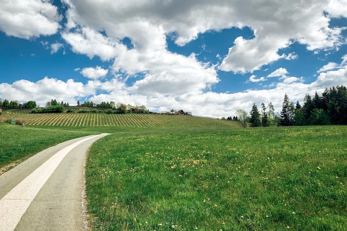 Mountain Biking Panorama Tour (Wies) - a perfect triad - Touren-Impression #1 | © Schilcherland Steiermark