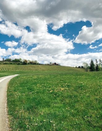 panoramatour (wies) - ein perfekter dreiklang_img_48456727 | Bernhard Prangl | © Schilcherland Steiermark