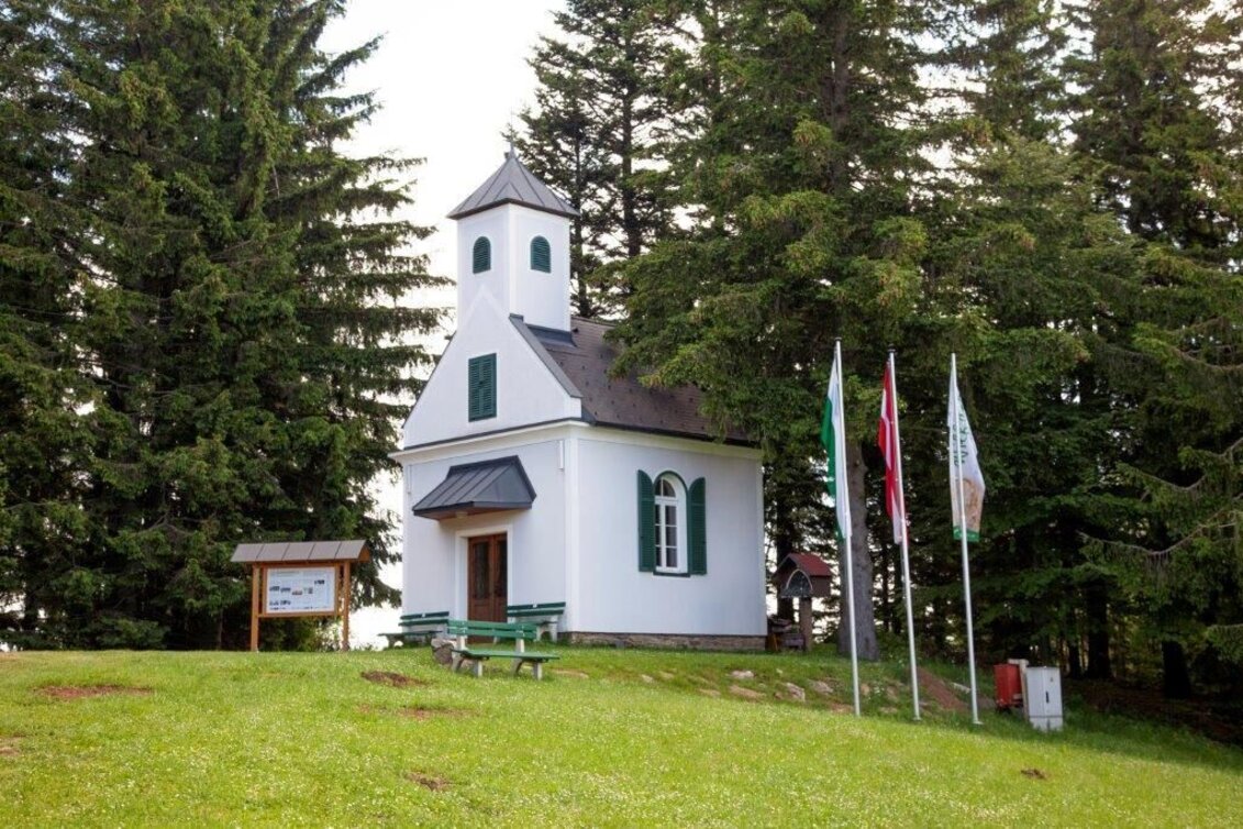 Hiking route Masenberg circuit, Pöllauberg - Touren-Impression #1 | © Oststeiermark Tourismus