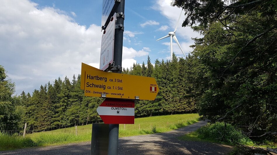 Hiking route Masenberg circuit, Pöllauberg - Touren-Impression #2.6 | © Oststeiermark Tourismus