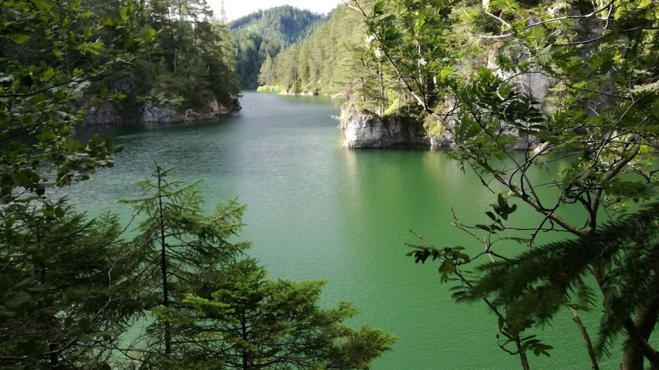 Hiking route Legend trail no. 1 - Touren-Impression #2.2 | © Hochsteiermark