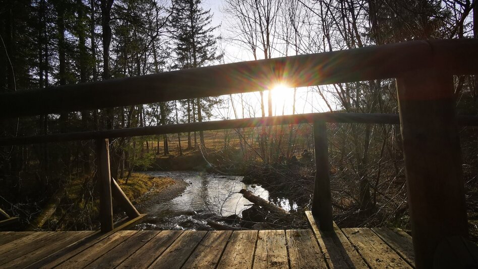 Hiking route Legend trail no. 2 - Touren-Impression #2.1 | © TV Hochsteiermark