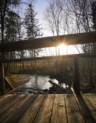 der Erlauf entlang... | Brigitte Digruber | © TV Hochsteiermark