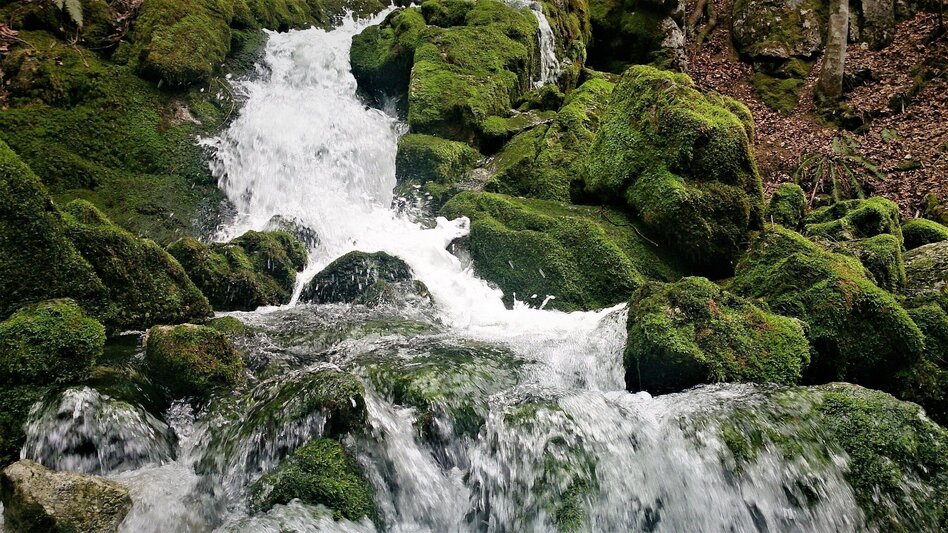 Hiking route Legend trail no. 2 - Touren-Impression #2.3 | © TV Hochsteiermark