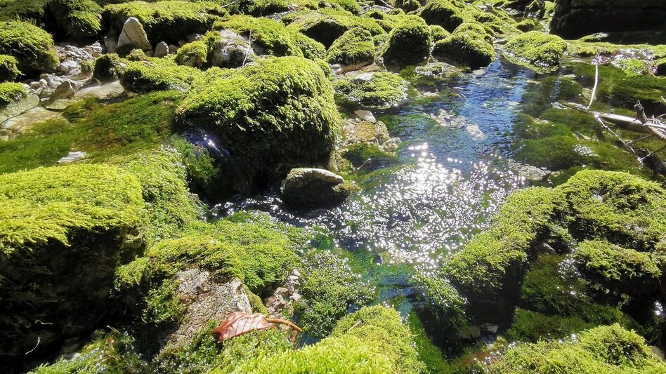 Hiking route Legend trail no. 2 - Touren-Impression #2.5 | © TV Hochsteiermark