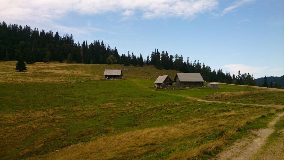 Mountain Hike Mountain tour to the Hohe Veitsch - Touren-Impression #2.3 | © TV Hochsteiermark
