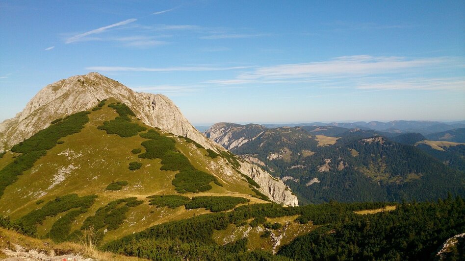 Mountain Hike Mountain tour to the Hohe Veitsch - Touren-Impression #2.5 | © TV Hochsteiermark