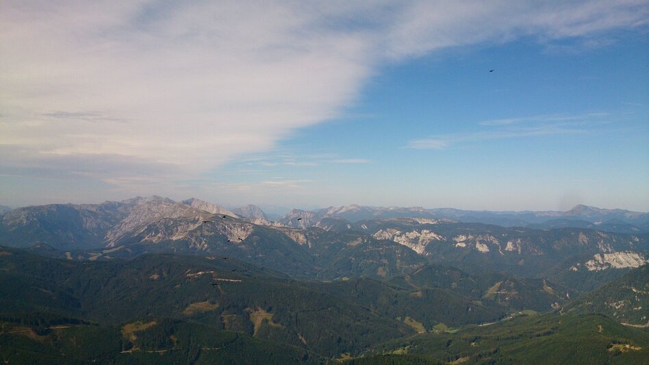 Mountain Hike Mountain tour to the Hohe Veitsch - Touren-Impression #2.8 | © TV Hochsteiermark