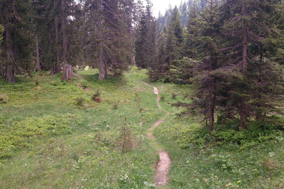 Hiking route Feldwiesalm and Eiserner Herrgott from Taschelbach - Touren-Impression #1 | © TV Hochsteiermark