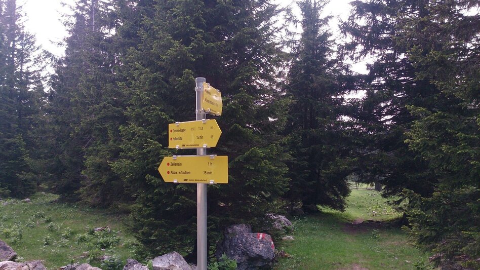 Hiking route Feldwiesalm and Eiserner Herrgott from Taschelbach - Touren-Impression #2.6 | © TV Hochsteiermark