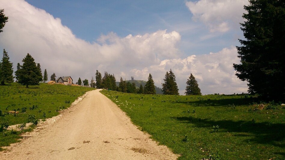 Hiking route Feldwiesalm and Eiserner Herrgott from Taschelbach - Touren-Impression #2.7 | © TV Hochsteiermark