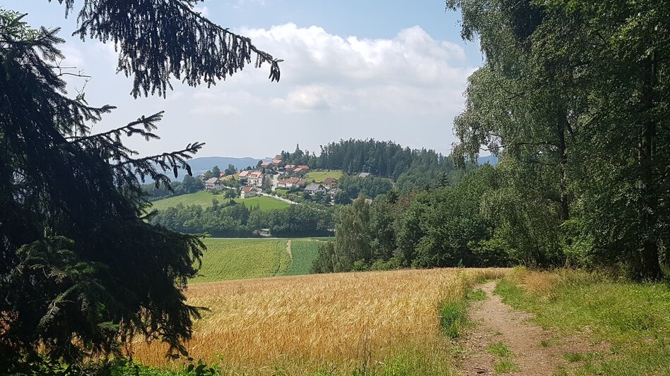 Hiking route Masenberg circuit via Lüßwaldsattel, Pöllauberg - Touren-Impression #2.3 | © Oststeiermark Tourismus