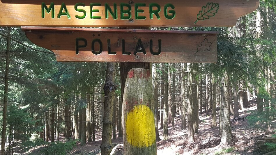 Hiking route Masenberg circuit via Lüßwaldsattel, Pöllauberg - Touren-Impression #2.10 | © Oststeiermark Tourismus