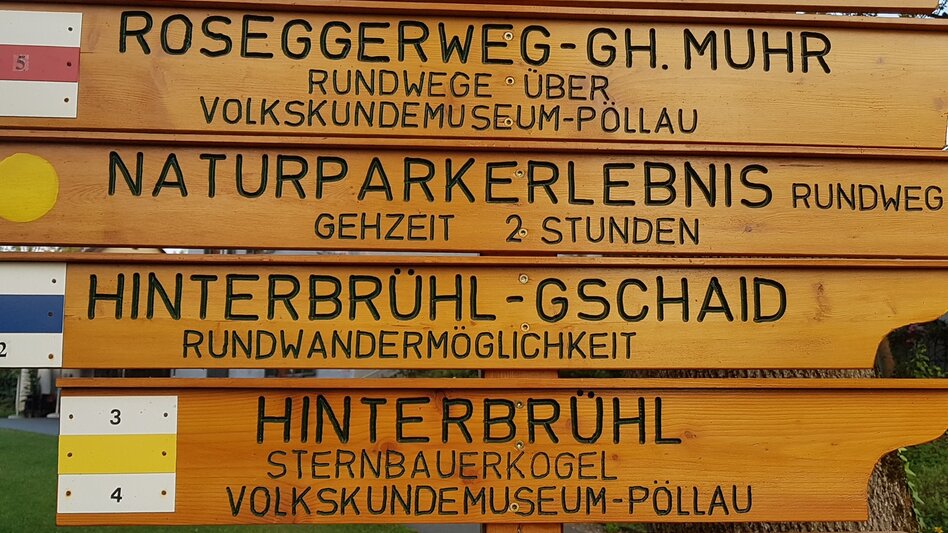 Wanderung Rabenwaldkogel, Pöllau - Touren-Impression #2.1 | © Oststeiermark Tourismus