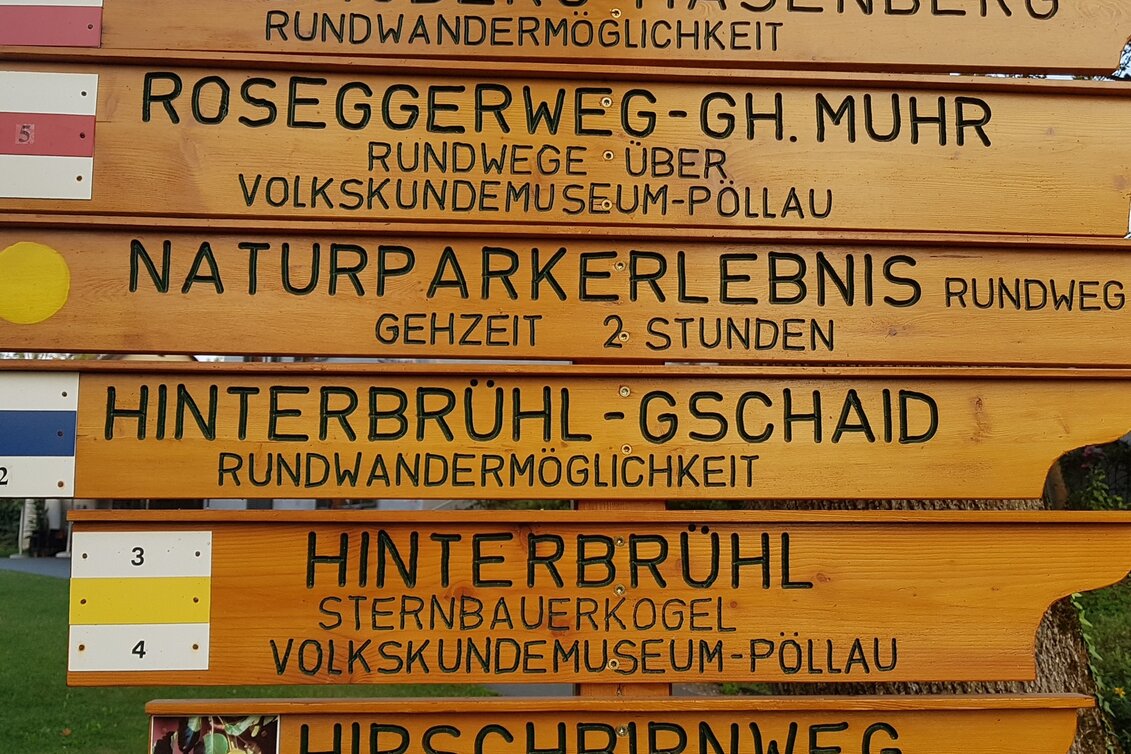 Wanderung Rabenwaldkogel, Pöllau - Touren-Impression #1 | © Oststeiermark Tourismus