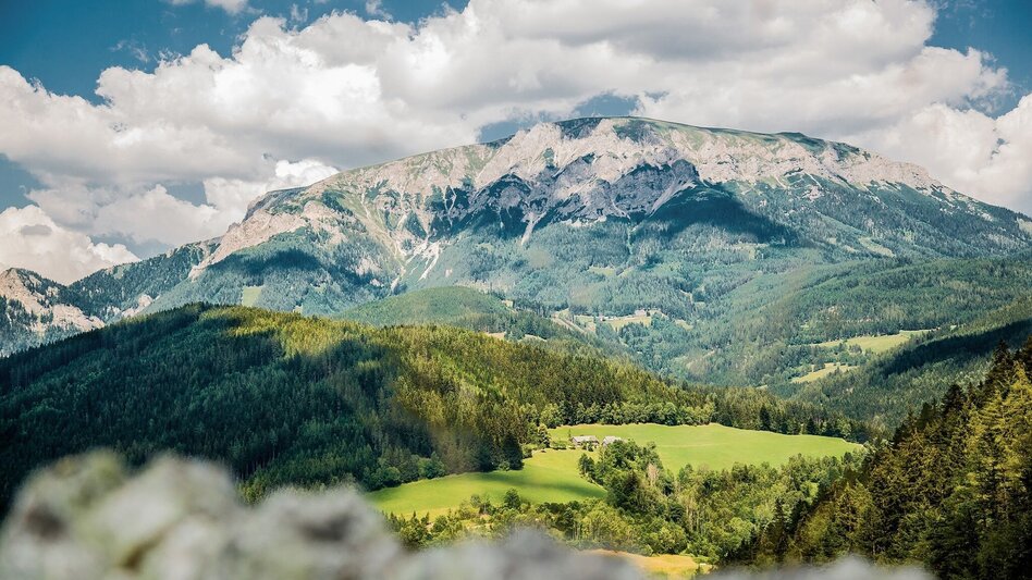 Hiking route BergZeitReise Tagestourentipp - Rax - Touren-Impression #2.2 | © Nicole Seiser