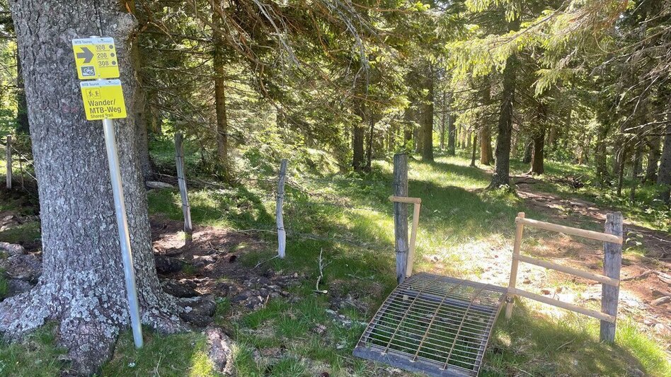 Mountain Biking Brendlalm-Tour (Eibiswald) - Touren-Impression #2.4 | © Südsteiermark