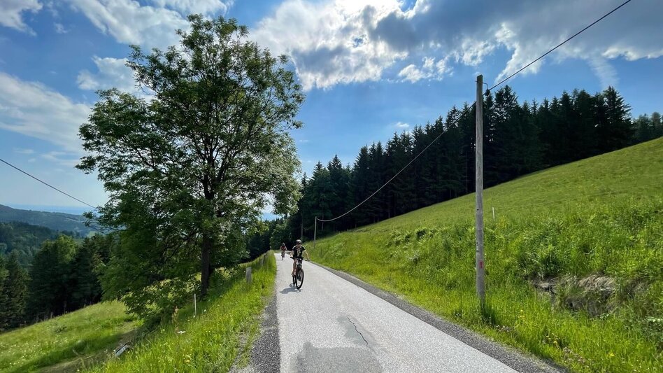 Mountain Biking Brendlalm-Tour (Eibiswald) - Touren-Impression #2.5 | © Südsteiermark