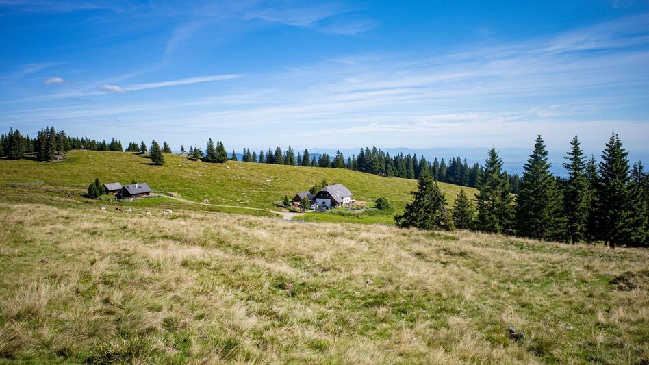 Mountain Biking Brendlalm-Tour (Eibiswald) - Touren-Impression #2.6 | © Südsteiermark