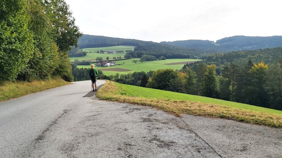 Hiking route Hike to the Ringwarte, Pöllauberg - Touren-Impression #2.4 | © Oststeiermark Tourismus