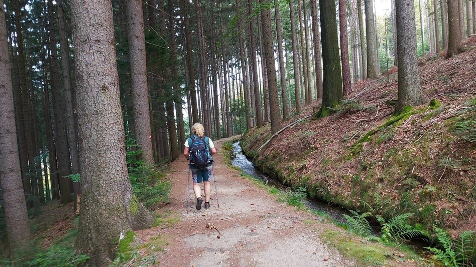 Hiking route Hike to the Ringwarte, Pöllauberg - Touren-Impression #2.11 | © Oststeiermark Tourismus