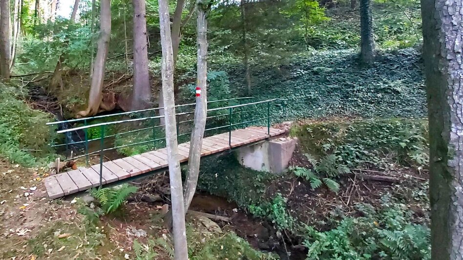 Hiking route Hike to the Ringwarte, Pöllauberg - Touren-Impression #2.5 | © Oststeiermark Tourismus