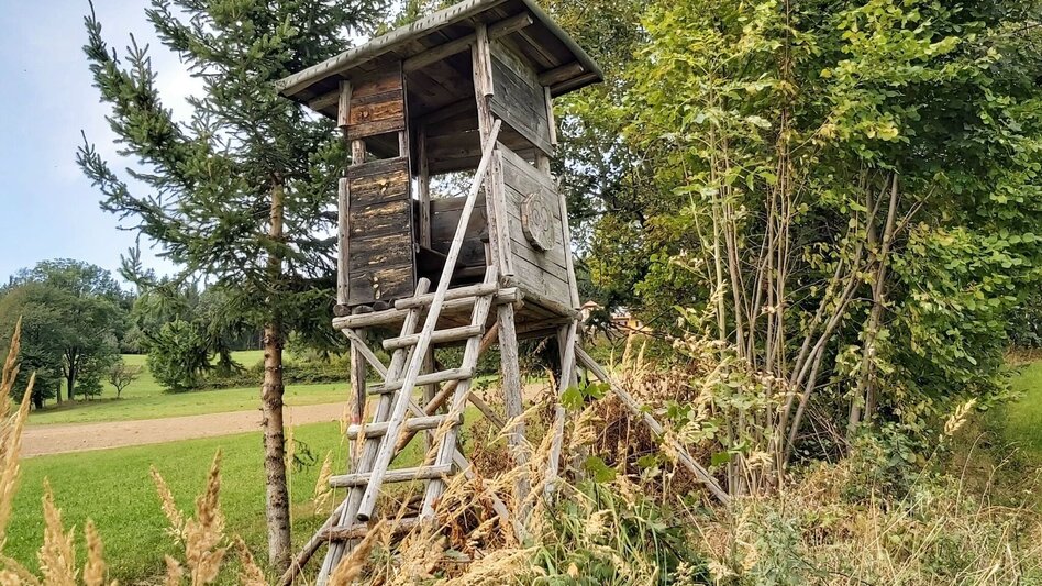 Hiking route Hike to the Ringwarte, Pöllauberg - Touren-Impression #2.10 | © Oststeiermark Tourismus