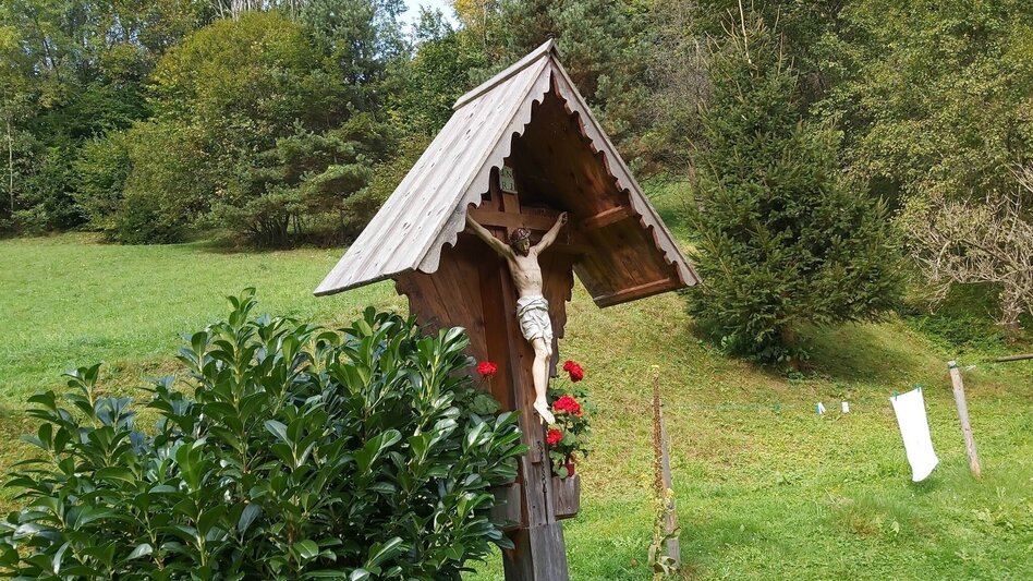 Hiking route Hike to the Ringwarte, Pöllauberg - Touren-Impression #2.6 | © Oststeiermark Tourismus