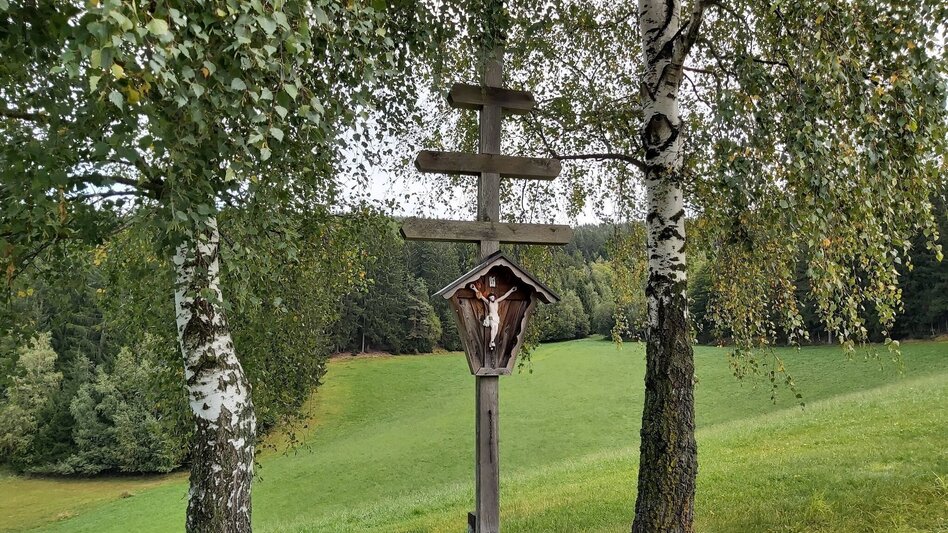 Hiking route Hike to the Ringwarte, Pöllauberg - Touren-Impression #2.8 | © Oststeiermark Tourismus