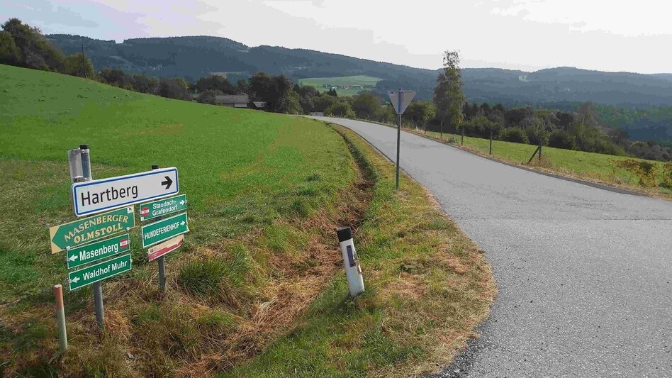 Hiking route Hike to the Ringwarte, Pöllauberg - Touren-Impression #2.3 | © Oststeiermark Tourismus