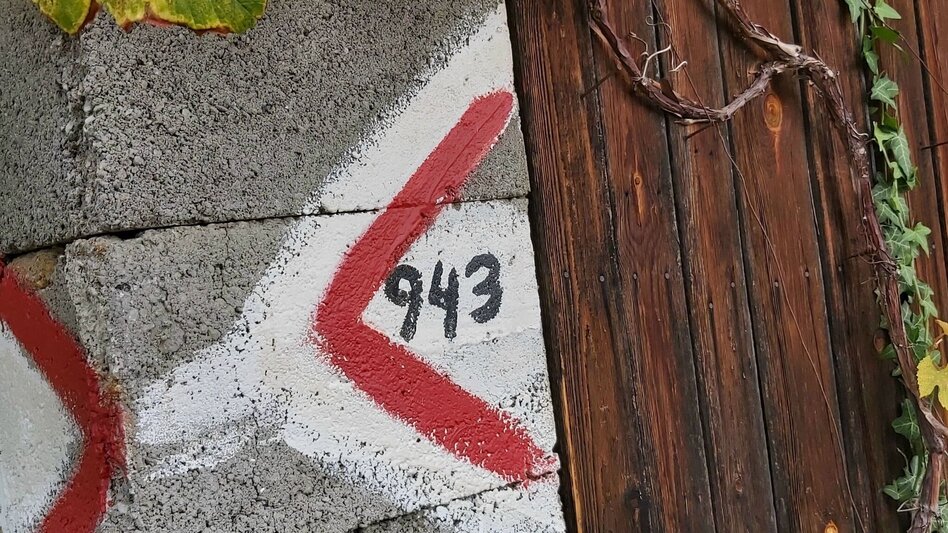 Hiking route Hike to the Ringwarte, Pöllauberg - Touren-Impression #2.15 | © Oststeiermark Tourismus