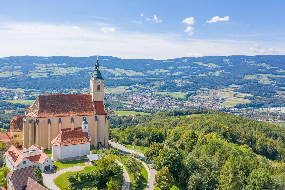Hiking route Hike to the Ringwarte, Pöllauberg - Touren-Impression #1 | © Helmut Schweighofer