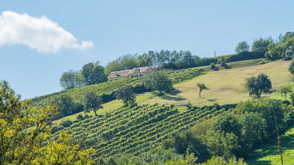 Themen- und Lehrpfad Vogelthemenweg Pöllau - Touren-Impression #2.2 | © Oststeiermark Tourismus