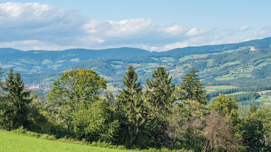 Themen- und Lehrpfad Vogelthemenweg Pöllau - Touren-Impression #2.4 | © Oststeiermark Tourismus