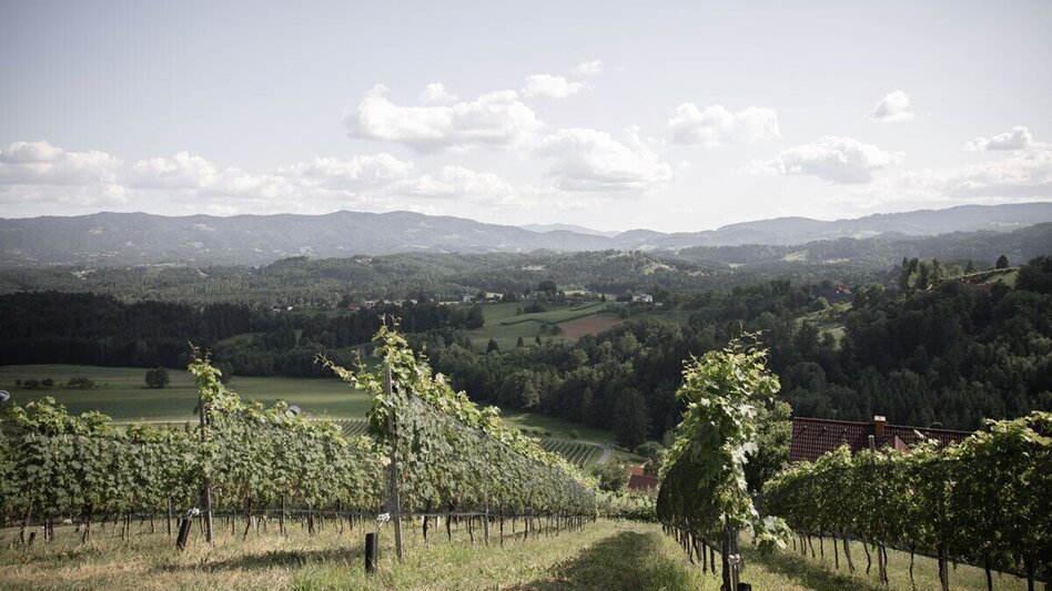 Mountain Biking Radelikat (Eibiswald) - Biking with Pleasure in Schilcherland - Touren-Impression #2.7 | © Schilcherland Steiermark