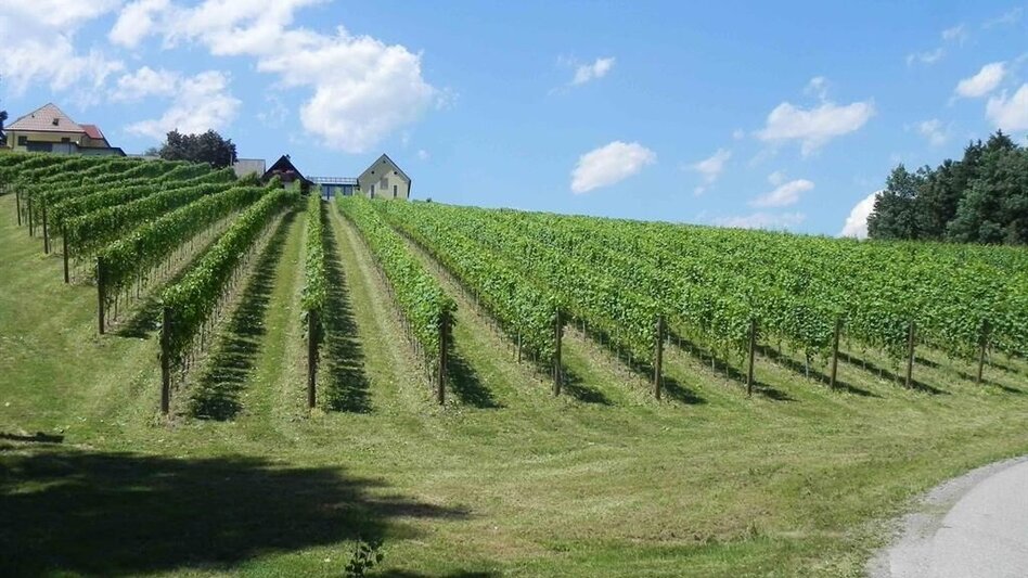 Mountain Biking Radelikat (Eibiswald) - Biking with Pleasure in Schilcherland - Touren-Impression #2.14 | © Unbekannt