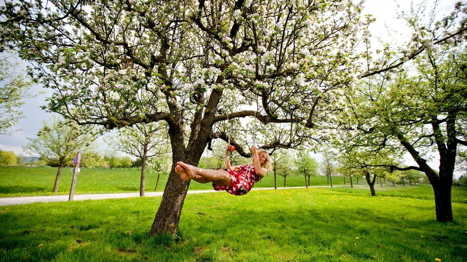 Bike Riding Spring bike tour in ApfelLand , Puch bei Weiz - Touren-Impression #2.4 | © Oststeiermark Tourismus