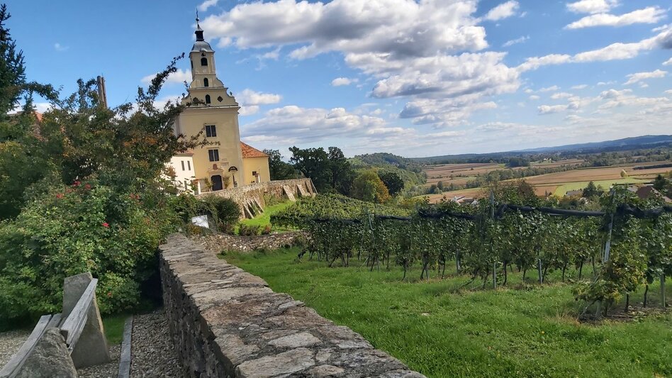 Bike Riding Autumn bike tour in ApfelLand-Stubenbergsee - Touren-Impression #2.9 | © Oststeiermark Tourismus